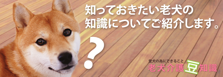 老犬介護の豆知識『老犬
の知識・かかりやすい病気・ケア・よくあるご質問』色々な疑問に経験豊富なプロのドックトレーナーが丁寧にお答えします。