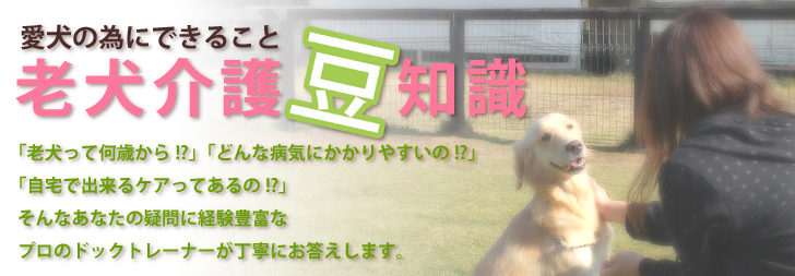 老犬介護の豆知識『roukenn
の知識・かかりやすい病気・ケア・よくあるご質問』色々な疑問に経験豊富なプロのドックトレーナーが丁寧にお答えします。