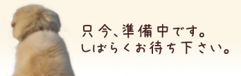 老犬ホーム関東