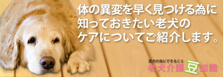 老犬介護の豆知識『老犬
の知識・かかりやすい病気・ケア・よくあるご質問』色々な疑問に経験豊富なプロのドックトレーナーが丁寧にお答えします。