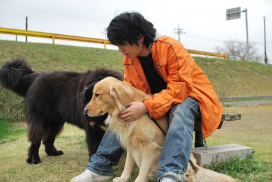 老犬介護ドットコム 河村