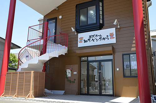老犬ホームぬちどぅたから
