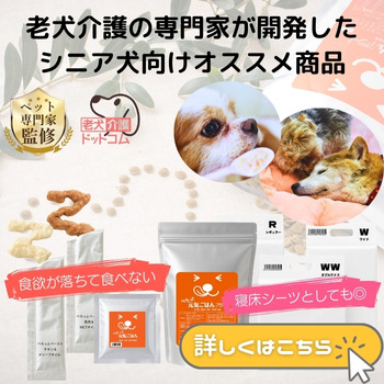 楽天市場の博多ドッグス店にて販売中！